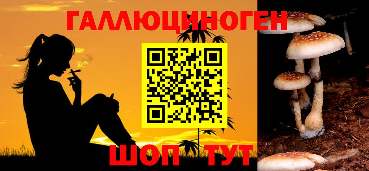 магазин продажи наркотиков  Псилоцибиновые грибы мухоморы  Воркута  Вход с VPN  Галлюциногенные грибы ЛСД 